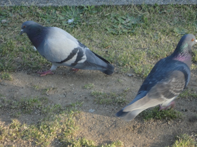 f0231709_14254843.jpg