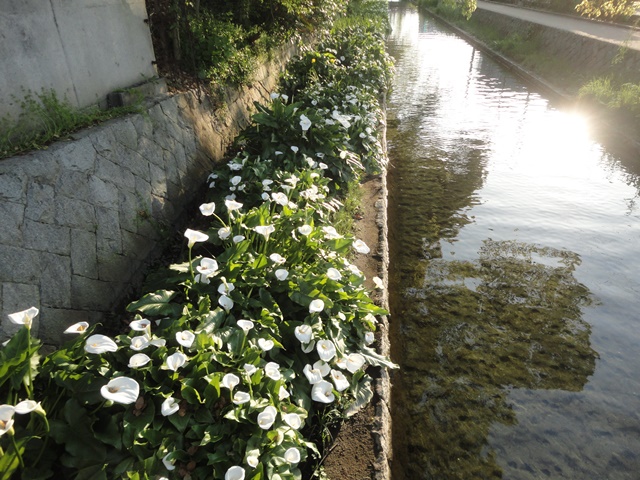 f0231709_1428169.jpg