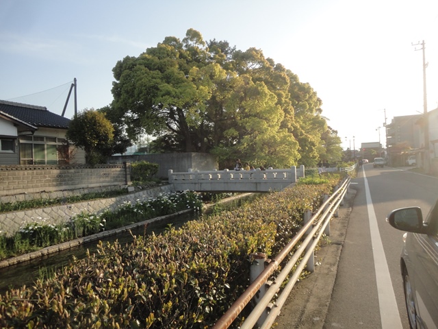 f0231709_1428526.jpg