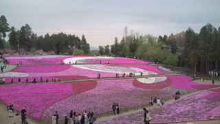 c0255216_0242675.jpg