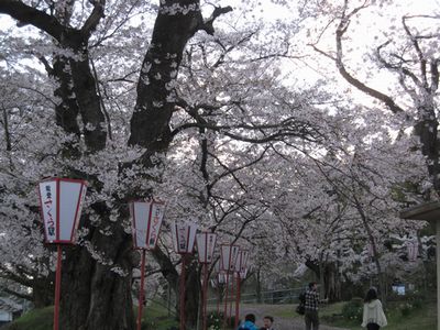 c0094218_7251132.jpg