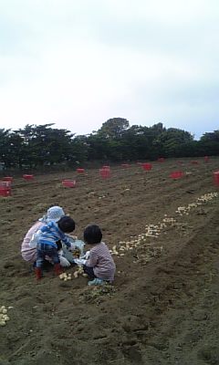 c0117621_2242748.jpg