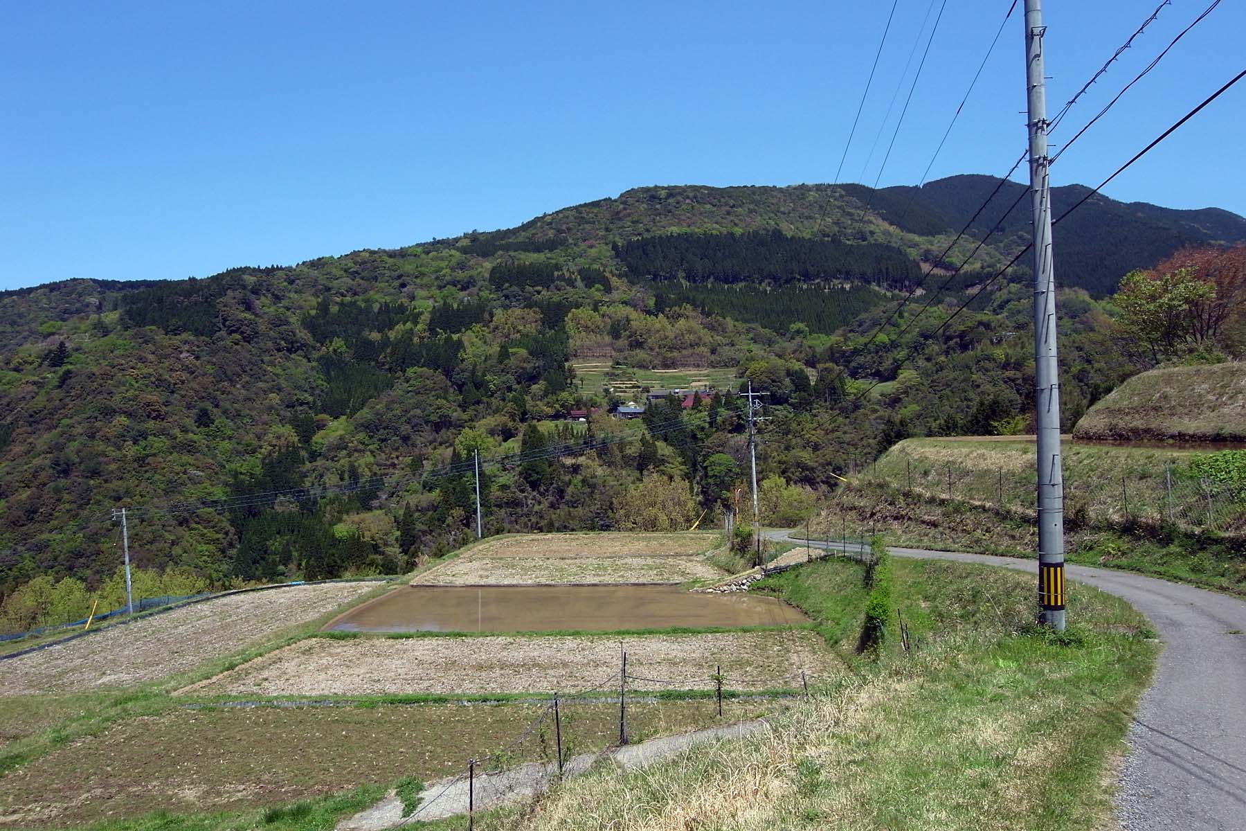 d0032222_103657.jpg