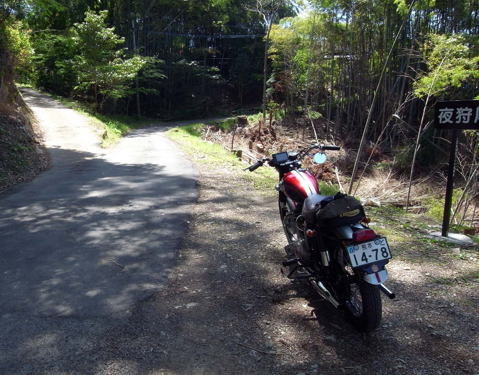 d0032222_1183365.jpg