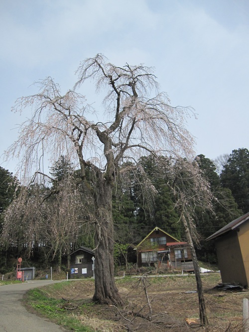 f0149422_21334248.jpg
