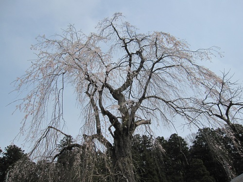 f0149422_21341528.jpg