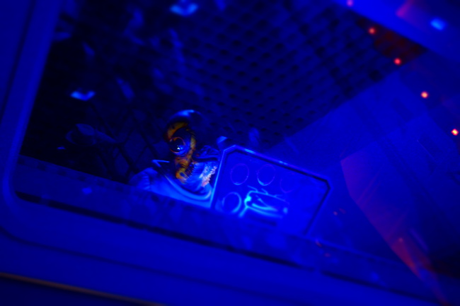 d0295126_189854.jpg