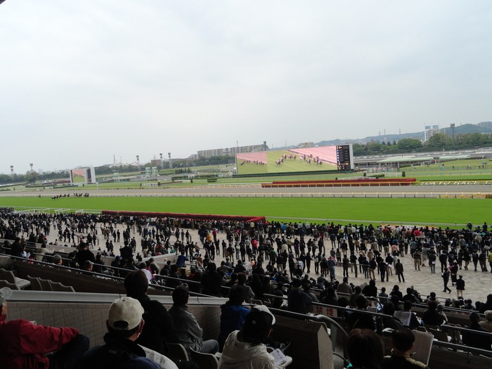 f0238932_1143543.jpg