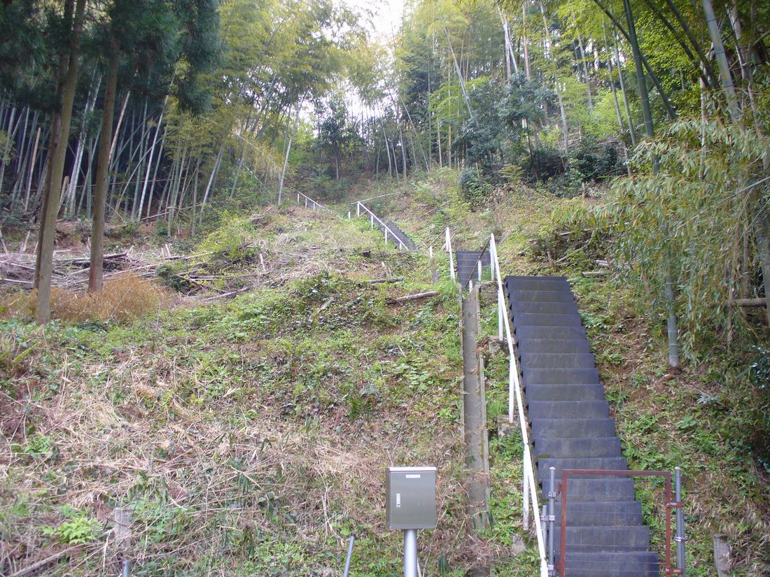 f0275632_1717226.jpg
