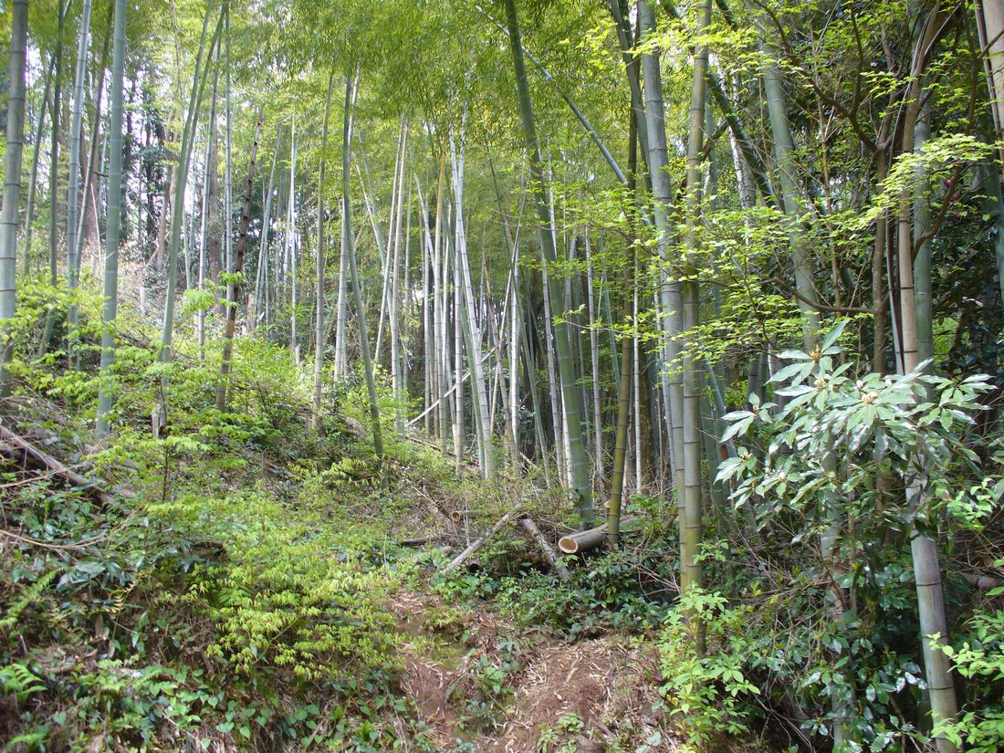 f0275632_17175261.jpg