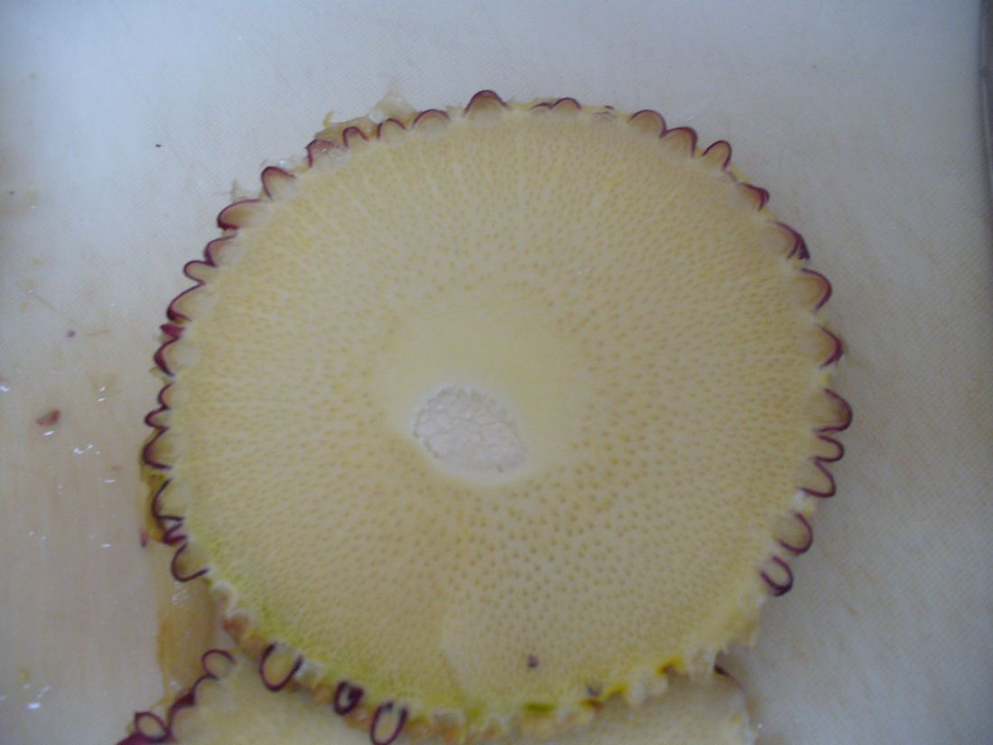 f0275632_17251839.jpg