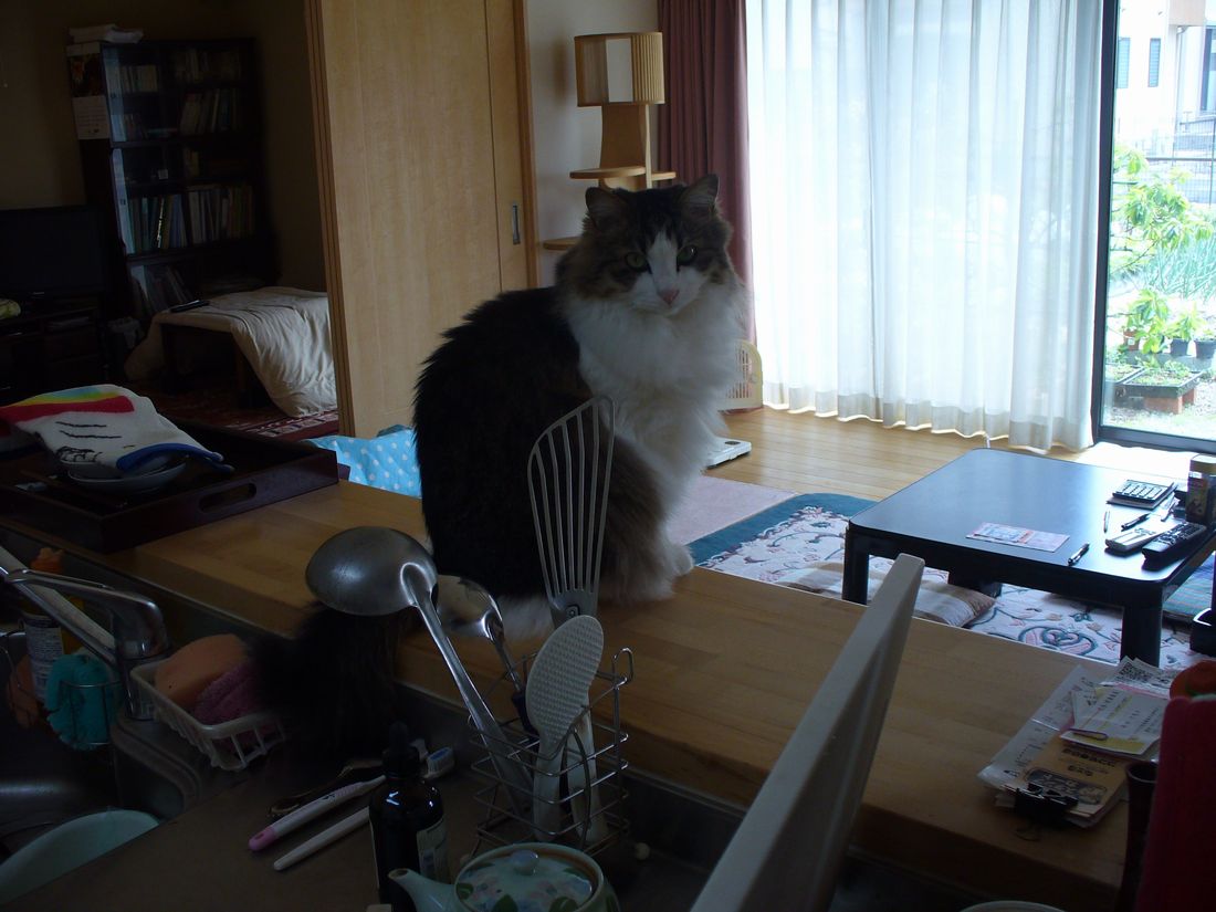 f0275632_17273370.jpg