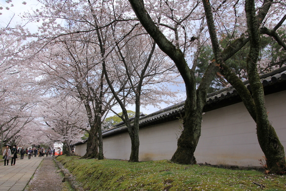 a0205834_22123763.jpg