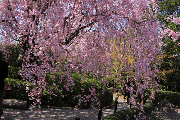 a0205834_22132874.jpg