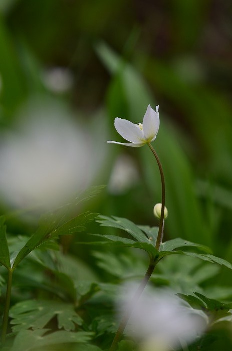 b0236334_20524363.jpg