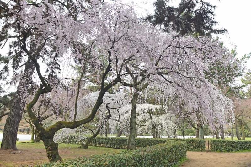 b0042837_17273771.jpg
