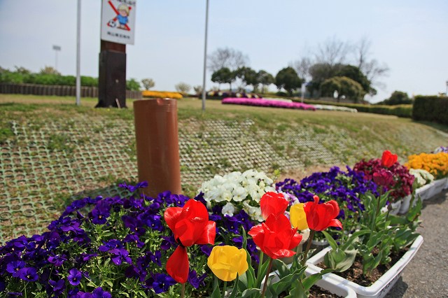 a0242438_18403277.jpg