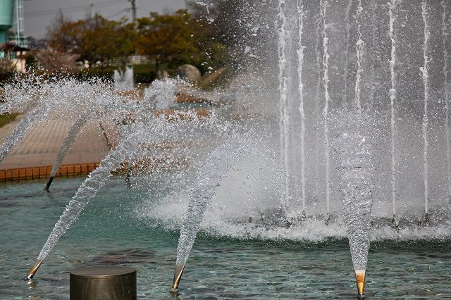 a0242438_18405078.jpg