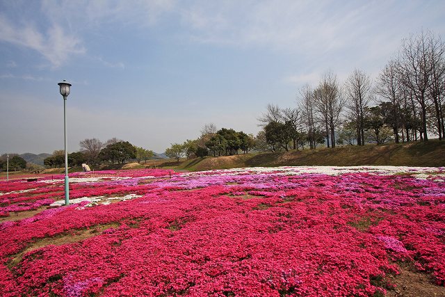 a0242438_1842877.jpg