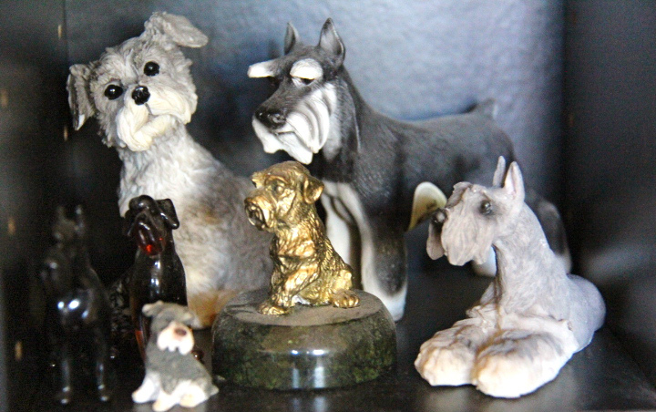 c0153740_3152739.jpg