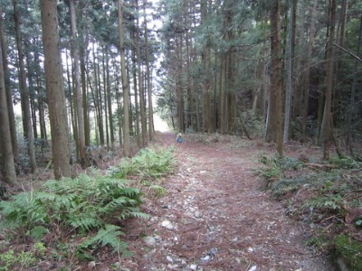 e0110940_218303.jpg
