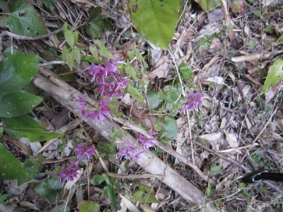 e0110940_2185383.jpg