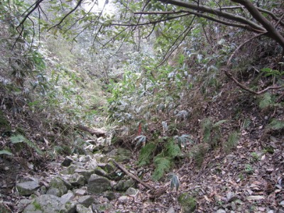 e0110940_2192915.jpg