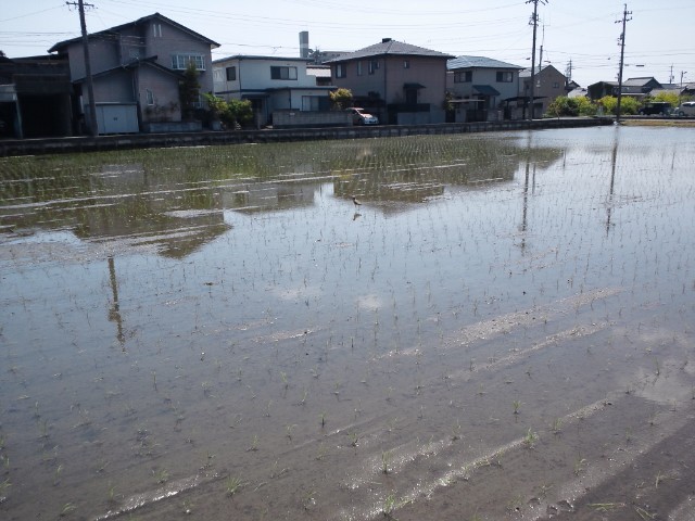 c0194042_20455520.jpg