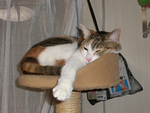 c0194042_2111146.jpg