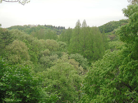 f0094843_2305132.jpg
