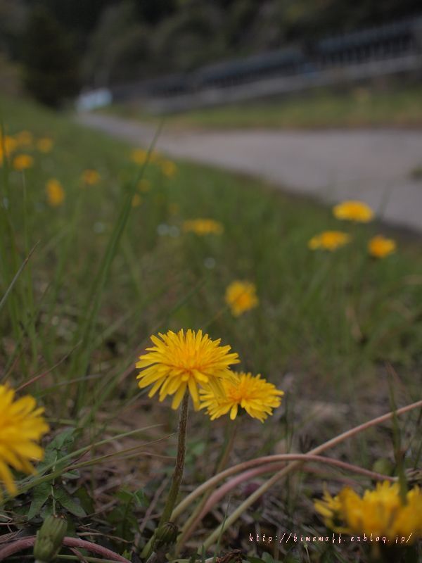 b0165444_0135385.jpg