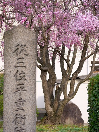 c0057946_2071840.jpg