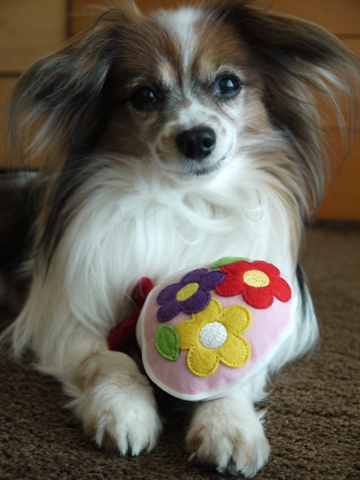 e0100046_13315511.jpg