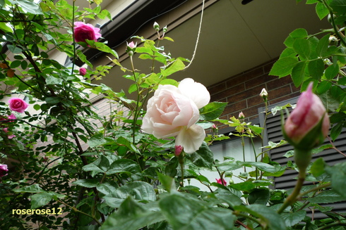 a0249051_4401410.jpg