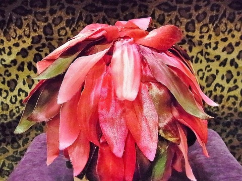 a0159652_20401021.jpg