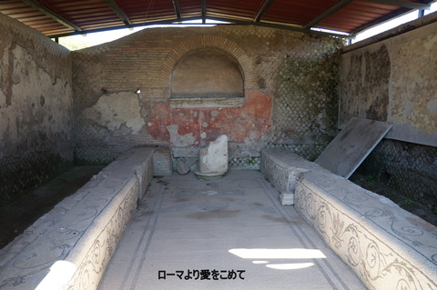 c0206352_1174948.jpg