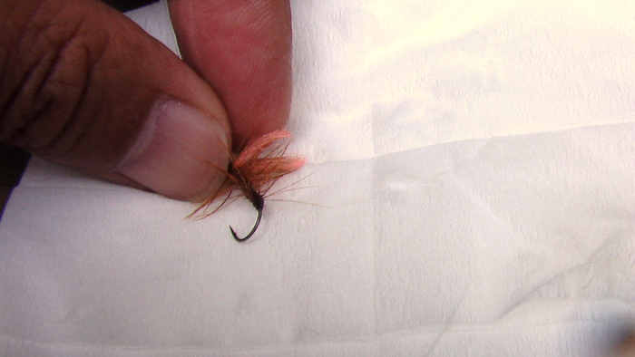 b0208961_11105651.jpg