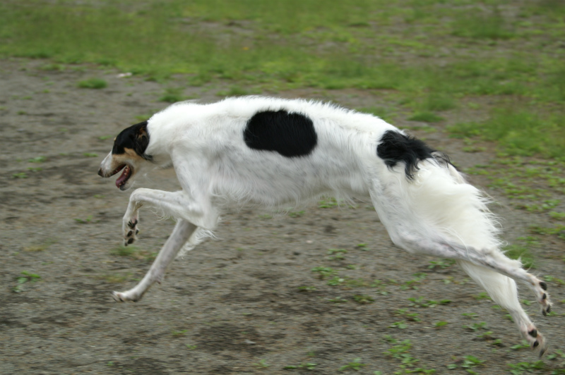 c0260264_2216221.jpg