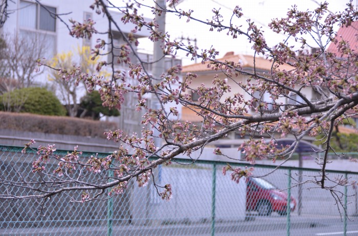 c0048667_2225551.jpg