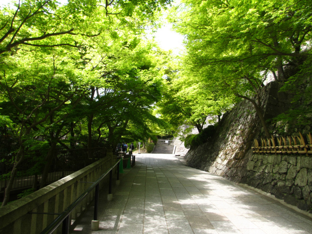 e0106372_17595874.jpg
