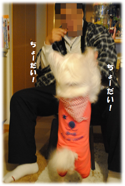 b0242873_14442917.png