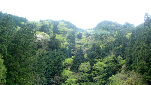e0024081_1136318.jpg