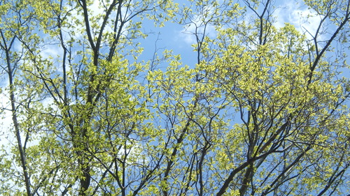 e0024081_7572936.jpg