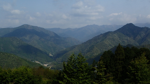 e0024081_903482.jpg