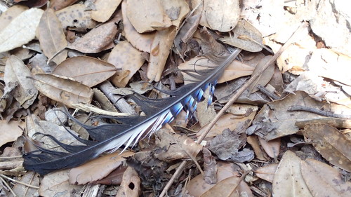 e0024081_9151097.jpg