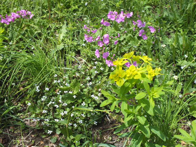 e0145782_1712881.jpg