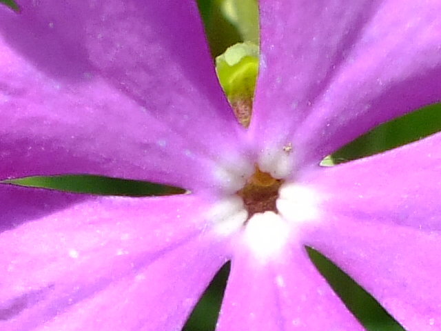 e0145782_1741128.jpg