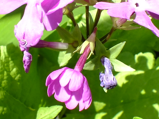 e0145782_17833100.jpg