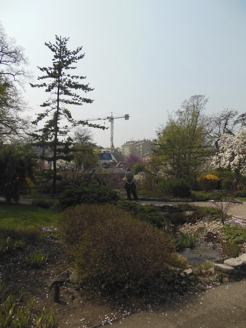 a0080183_541567.jpg
