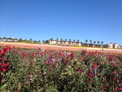 f0068883_15351031.jpg
